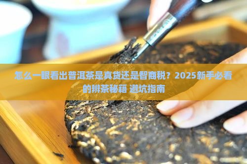 如何辩别普洱茶的好坏