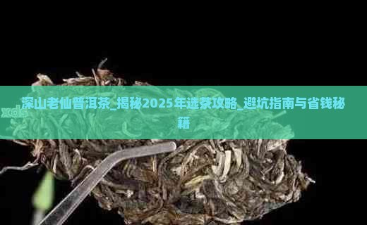 深山老仙普洱茶