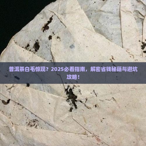 普洱茶上长了白毛