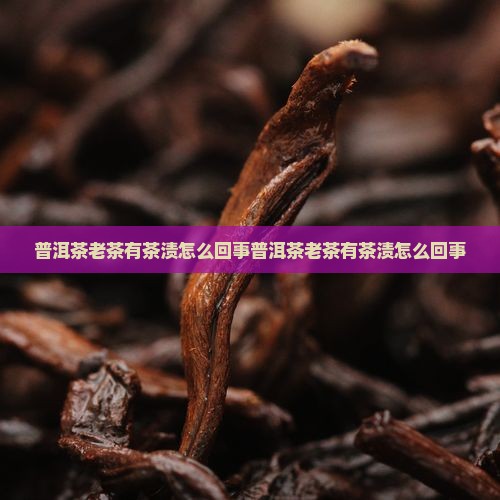 普洱茶老茶有茶渍怎么回事