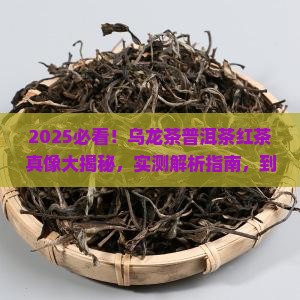 乌龙茶普洱茶红茶哪个好