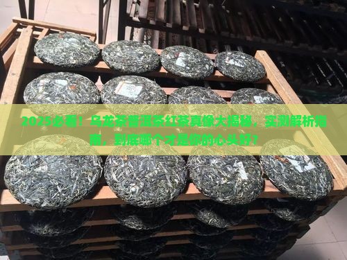 乌龙茶普洱茶红茶哪个好