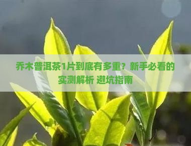 乔木普洱茶1片多少克重