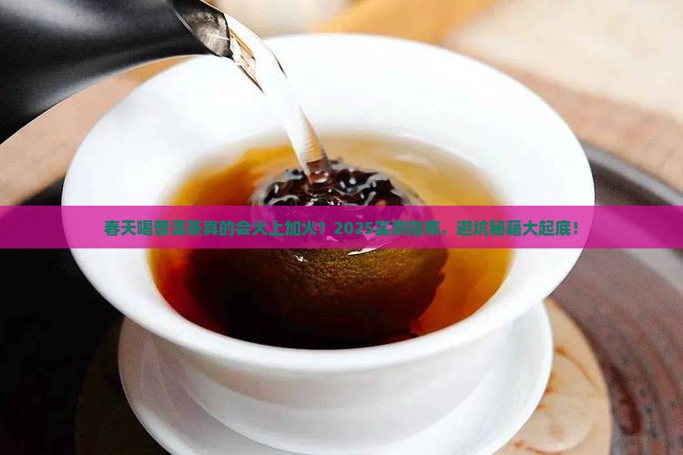 春天喝普洱茶上火吗