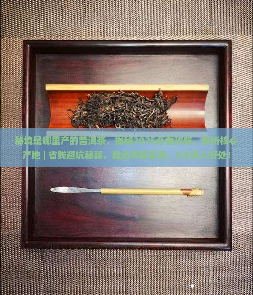 秘境是哪里产的普洱茶