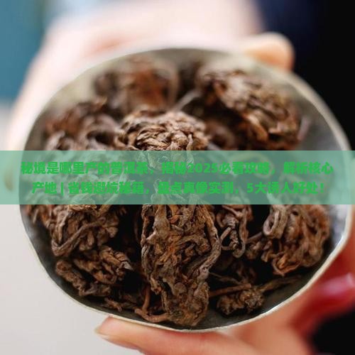 秘境是哪里产的普洱茶