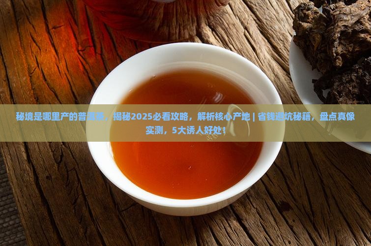 秘境是哪里产的普洱茶