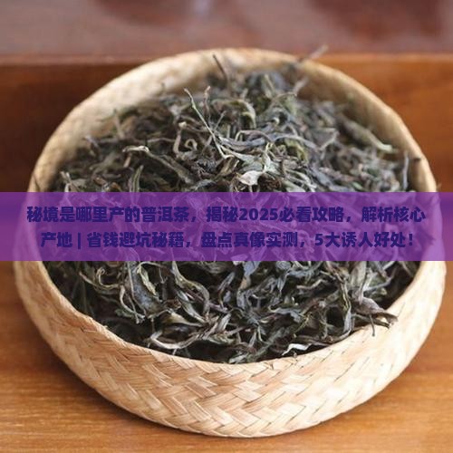 秘境是哪里产的普洱茶
