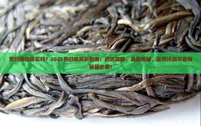 昔归茶怎么样啊