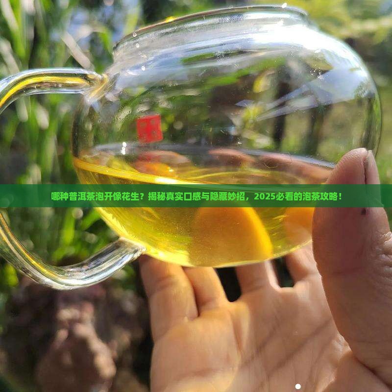 哪种普洱茶泡开像花生一样