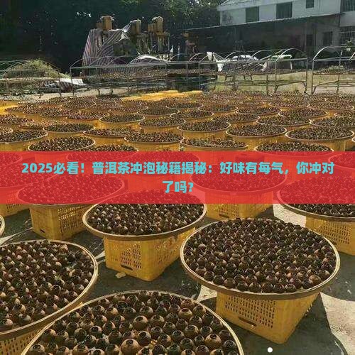 普洱茶冲时好味有每气