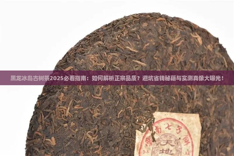 黑龙冰岛古树茶