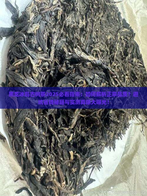黑龙冰岛古树茶