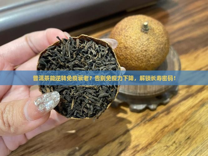普洱茶对免疫衰老有效吗