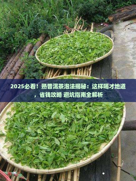 熟普洱茶怎么泡才是正确喝法