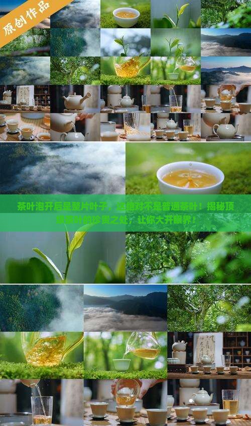 茶叶泡开后是整片叶子