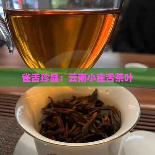 云南小雀舌茶叶