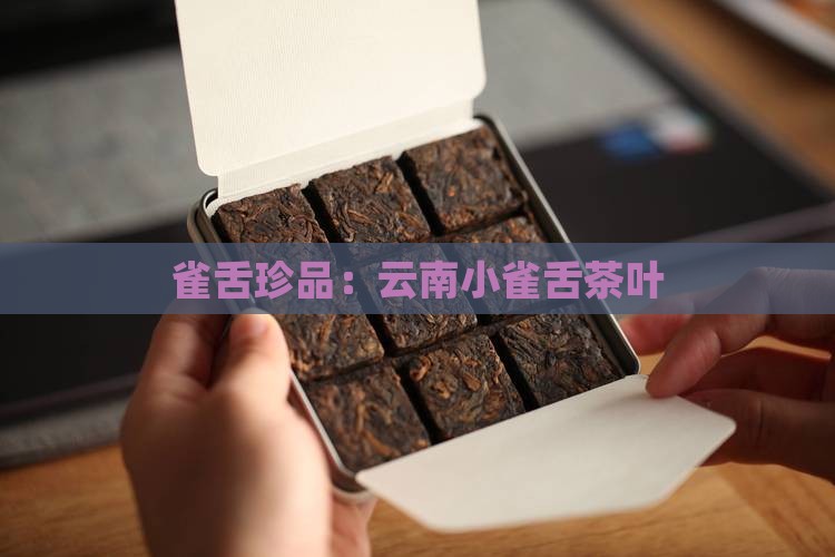 云南小雀舌茶叶