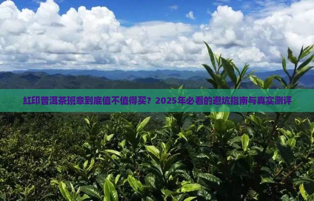 红印普洱茶班章