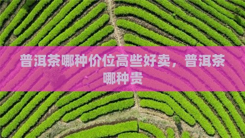 普洱茶哪种价位高些好卖