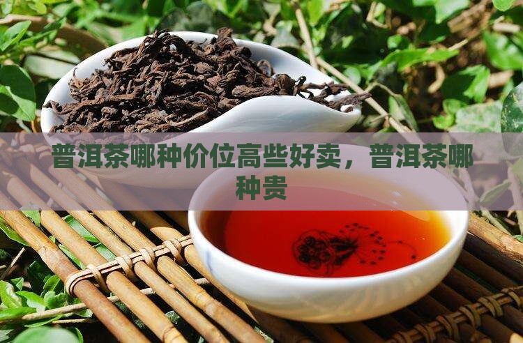 普洱茶哪种价位高些好卖