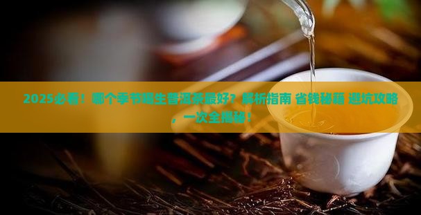 哪个季节喝生普洱茶好