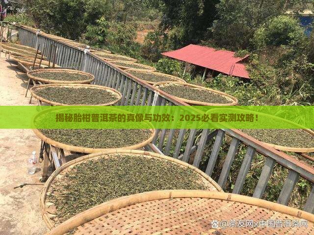 胎柑普洱茶的功效与作用