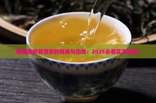 胎柑普洱茶的功效与作用