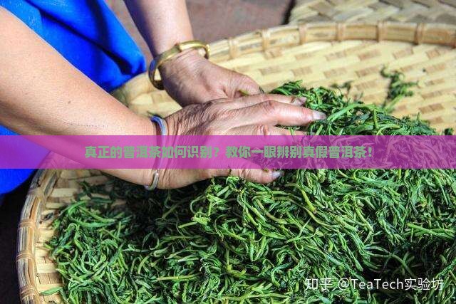 真正的普洱茶如何识别