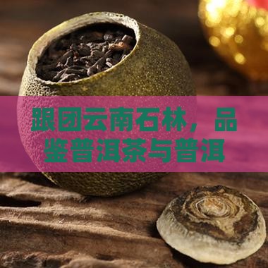 云南跟团石林普洱茶