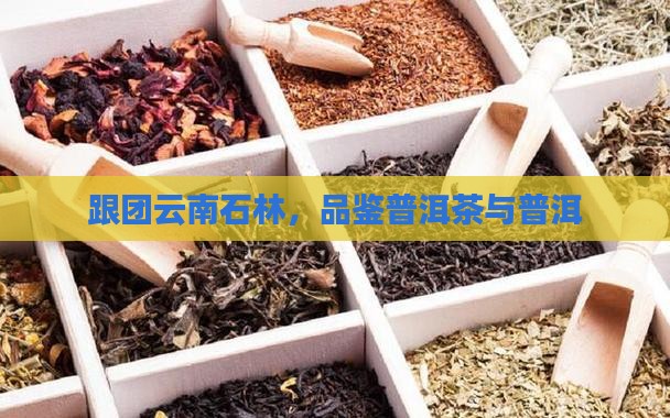 云南跟团石林普洱茶