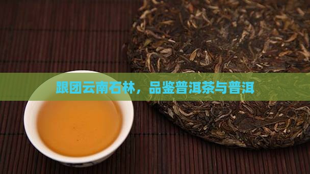 云南跟团石林普洱茶