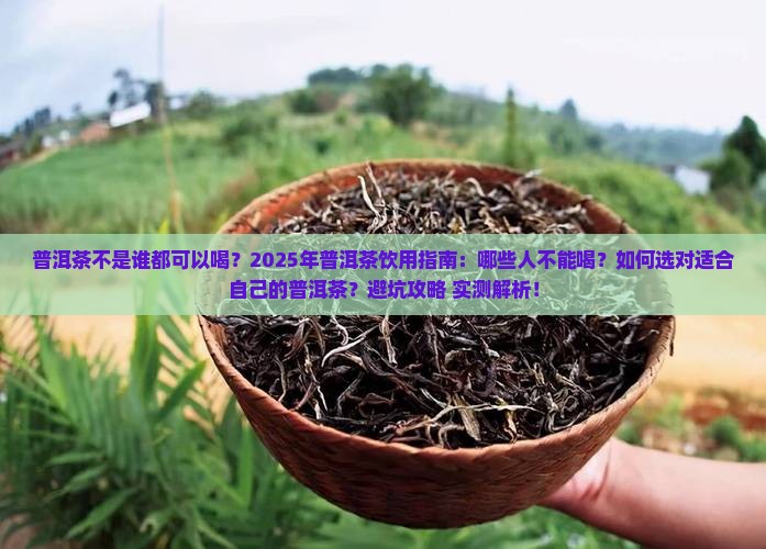 普洱茶不是谁都可以喝