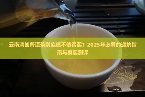 云南鸿如普洱茶