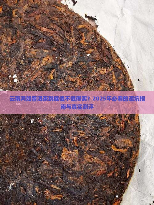 云南鸿如普洱茶