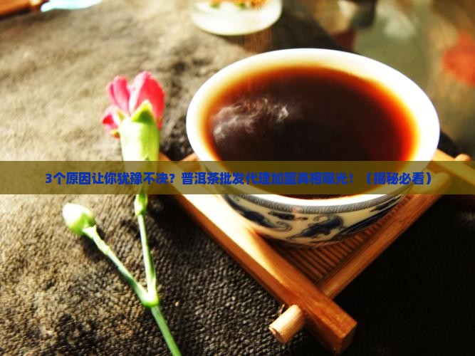 普洱茶批发代理加盟