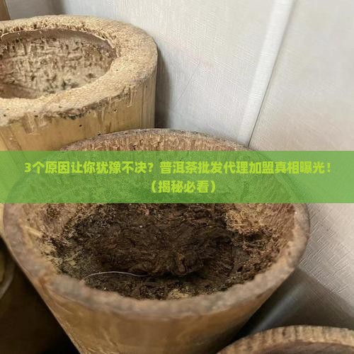 普洱茶批发代理加盟
