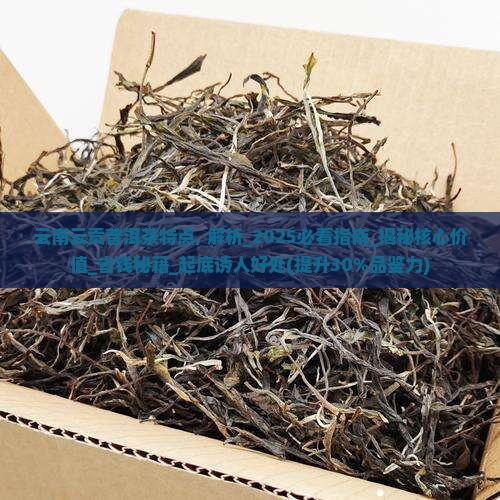 云南云贡普洱茶特点