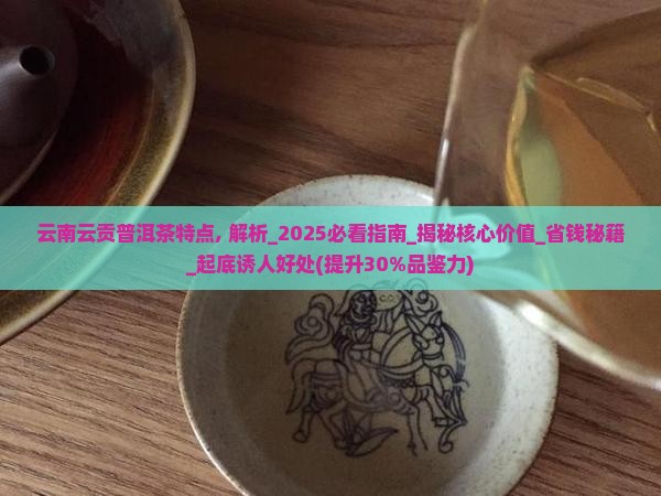 云南云贡普洱茶特点