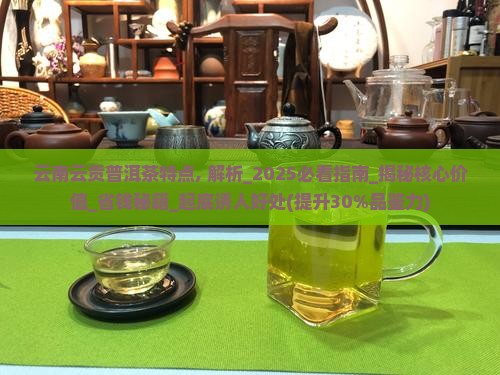 云南云贡普洱茶特点
