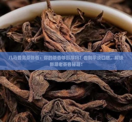 八马普洱茶陈香