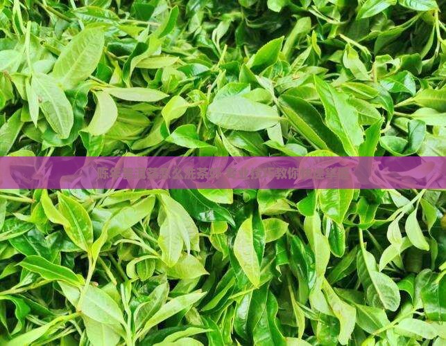 陈年普洱茶怎么洗茶好