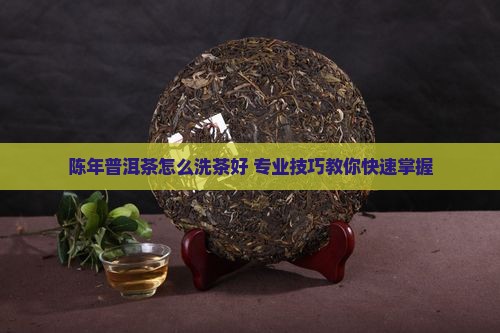 陈年普洱茶怎么洗茶好