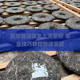 陈年普洱茶怎么洗茶好