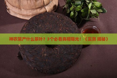 神农架产什么茶叶