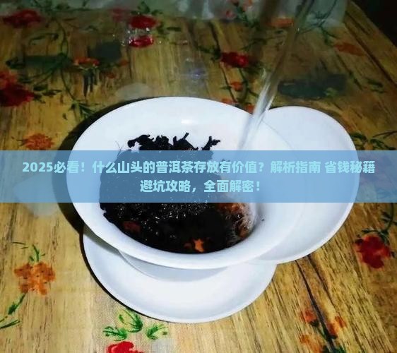 什么山头的普洱茶存放有价值