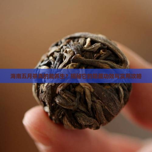 海南五月茶的功效与作用