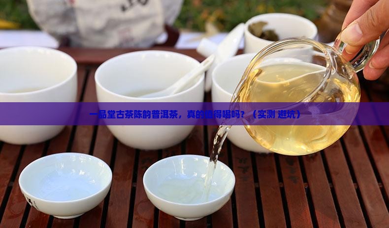 一品堂古茶陈韵普洱茶