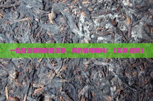 一品堂古茶陈韵普洱茶