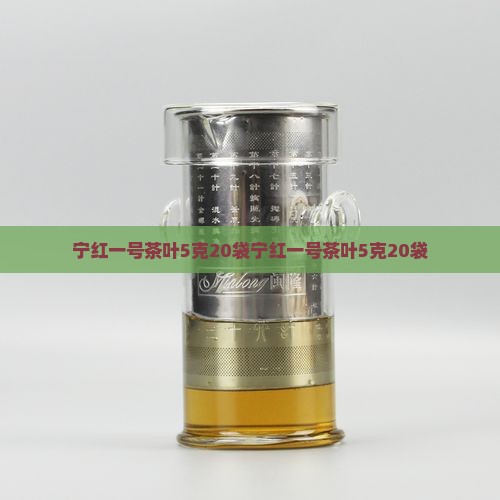 宁红一号茶叶5克20袋
